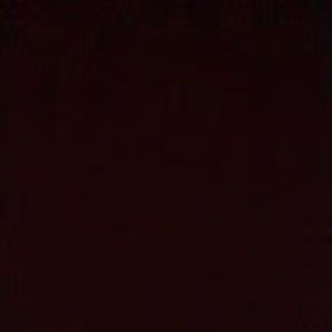 Meet your Posher, Sophia